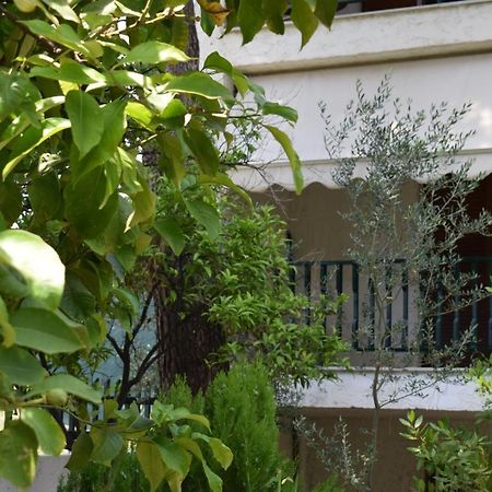 Alexander Aparthotel Pefkochori Ngoại thất bức ảnh