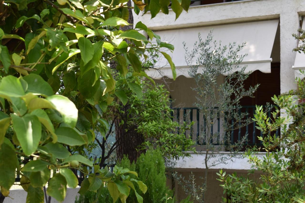 Alexander Aparthotel Pefkochori Ngoại thất bức ảnh